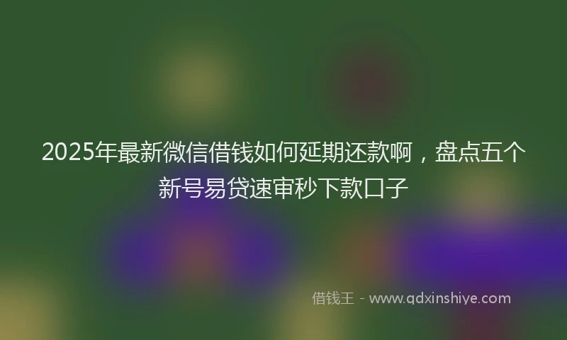 2025年最新微信借钱如何延期还款啊，盘点五个新号易贷速审秒下款口子