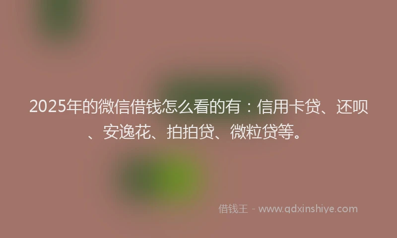 2025年的微信借钱怎么看的有：信用卡贷、还呗、安逸花、拍拍贷、微粒贷等。