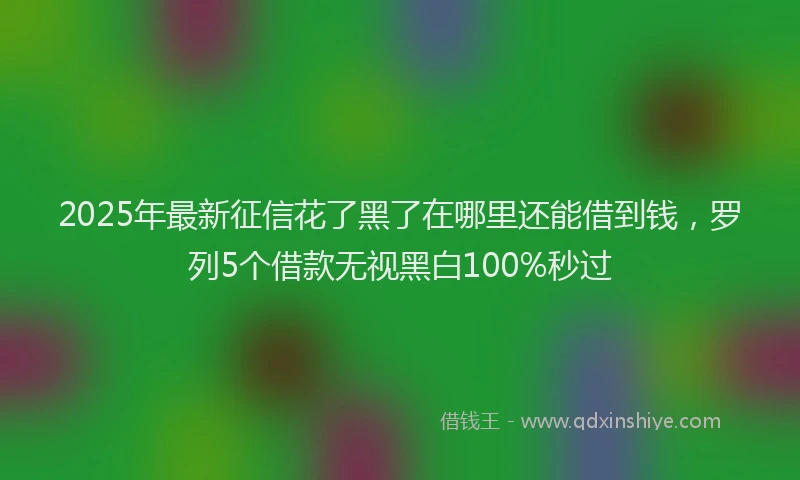 2025年最新征信花了黑了在哪里还能借到钱，罗列5个借款无视黑白100%秒过