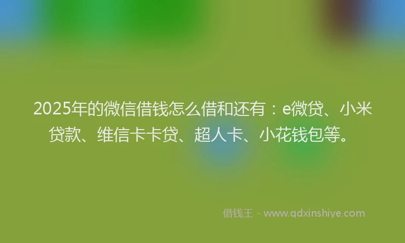 2025年的微信借钱怎么借和还有：e微贷、小米贷款、维信卡卡贷、超人卡、小花钱包等。