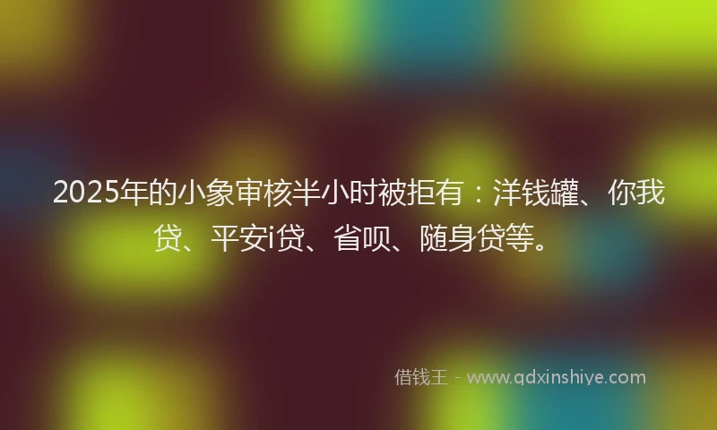2025年的小象审核半小时被拒有：洋钱罐、你我贷、平安i贷、省呗、随身贷等。