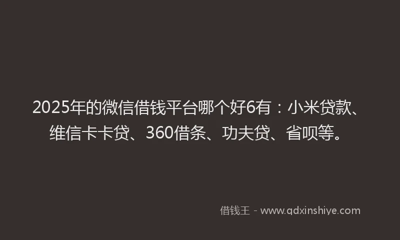2025年的微信借钱平台哪个好6有：小米贷款、维信卡卡贷、360借条、功夫贷、省呗等。