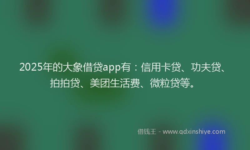 2025年的大象借贷app有：信用卡贷、功夫贷、拍拍贷、美团生活费、微粒贷等。