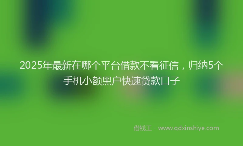 2025年最新在哪个平台借款不看征信，归纳5个手机小额黑户快速贷款口子