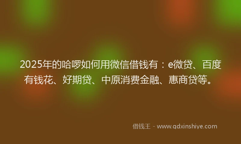 2025年的哈啰如何用微信借钱有：e微贷、百度有钱花、好期贷、中原消费金融、惠商贷等。