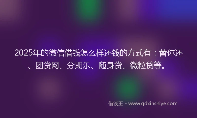 2025年的微信借钱怎么样还钱的方式有：替你还、团贷网、分期乐、随身贷、微粒贷等。
