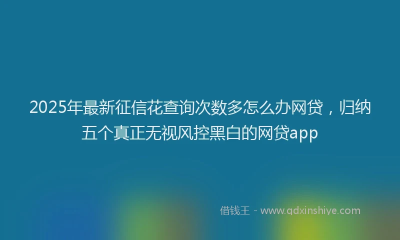 2025年最新征信花查询次数多怎么办网贷，归纳五个真正无视风控黑白的网贷app