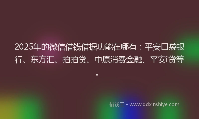 2025年的微信借钱借据功能在哪有：平安口袋银行、东方汇、拍拍贷、中原消费金融、平安i贷等。