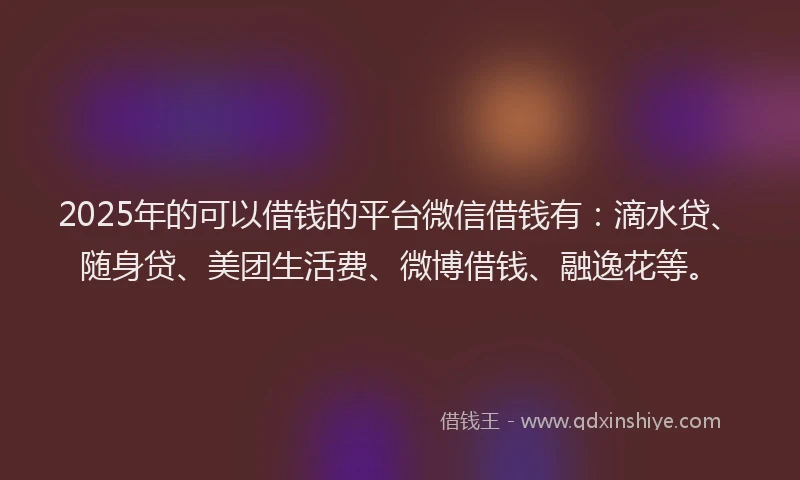 2025年的可以借钱的平台微信借钱有：滴水贷、随身贷、美团生活费、微博借钱、融逸花等。