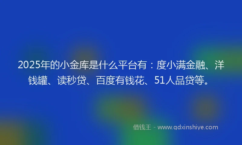 2025年的小金库是什么平台有：度小满金融、洋钱罐、读秒贷、百度有钱花、51人品贷等。