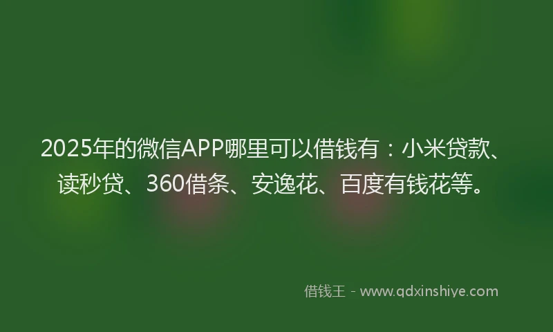 2025年的微信APP哪里可以借钱有：小米贷款、读秒贷、360借条、安逸花、百度有钱花等。
