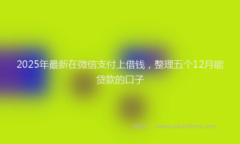 2025年最新在微信支付上借钱，整理五个12月能贷款的口子