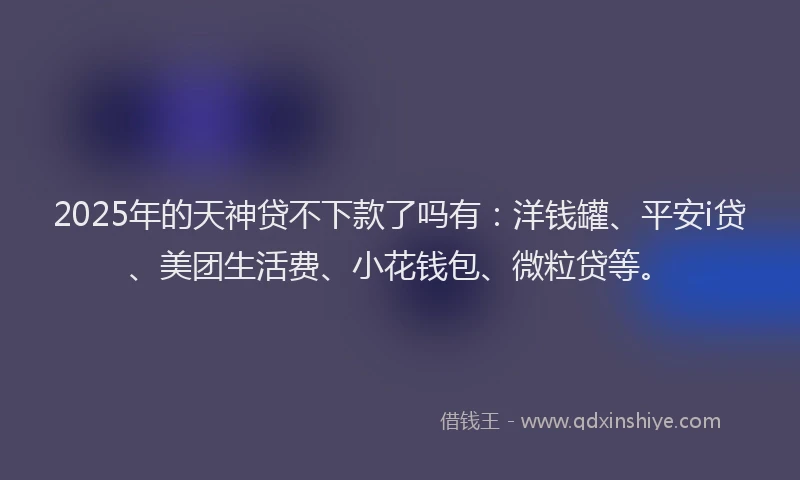 2025年的天神贷不下款了吗有：洋钱罐、平安i贷、美团生活费、小花钱包、微粒贷等。