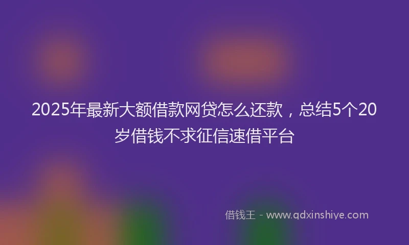 2025年最新大额借款网贷怎么还款，总结5个20岁借钱不求征信速借平台