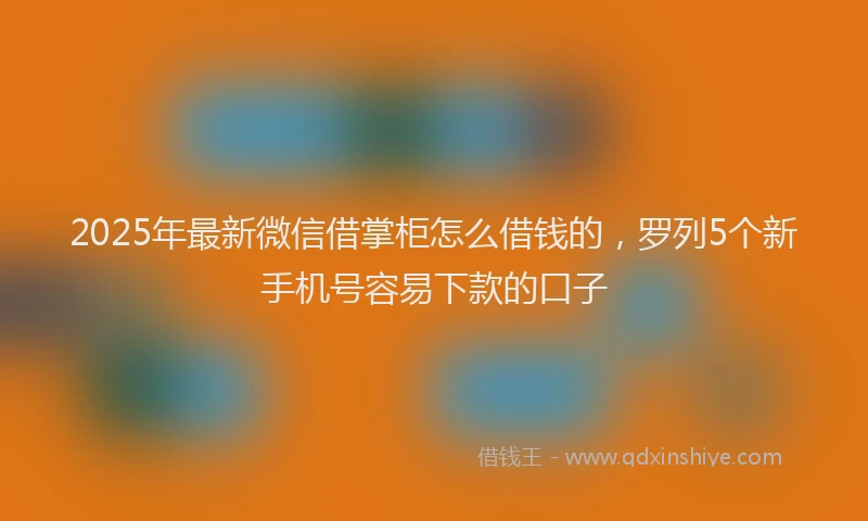2025年最新微信借掌柜怎么借钱的，罗列5个新手机号容易下款的口子