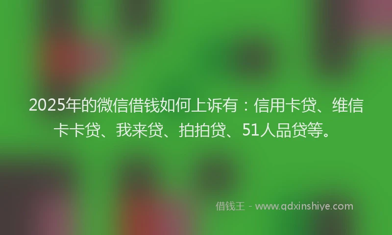 2025年的微信借钱如何上诉有：信用卡贷、维信卡卡贷、我来贷、拍拍贷、51人品贷等。