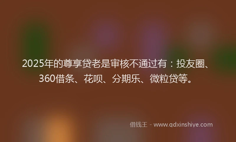 2025年的尊享贷老是审核不通过有：投友圈、360借条、花呗、分期乐、微粒贷等。