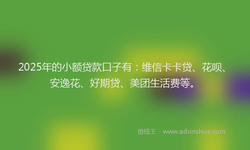 2025年的小额贷款口子有：维信卡卡贷、花呗、安逸花、好期贷、美团生活费等。