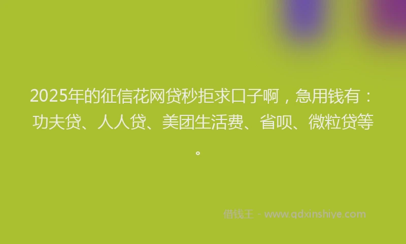 2025年的征信花网贷秒拒求口子啊，急用钱有：功夫贷、人人贷、美团生活费、省呗、微粒贷等。