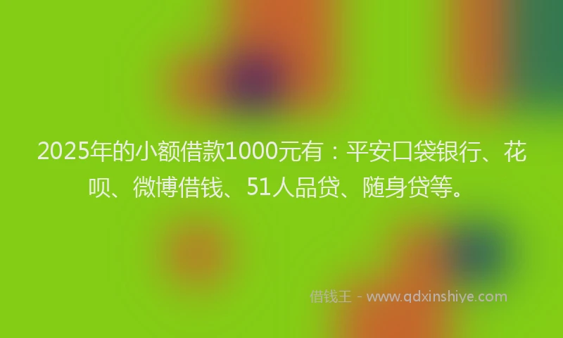 2025年的小额借款1000元有：平安口袋银行、花呗、微博借钱、51人品贷、随身贷等。