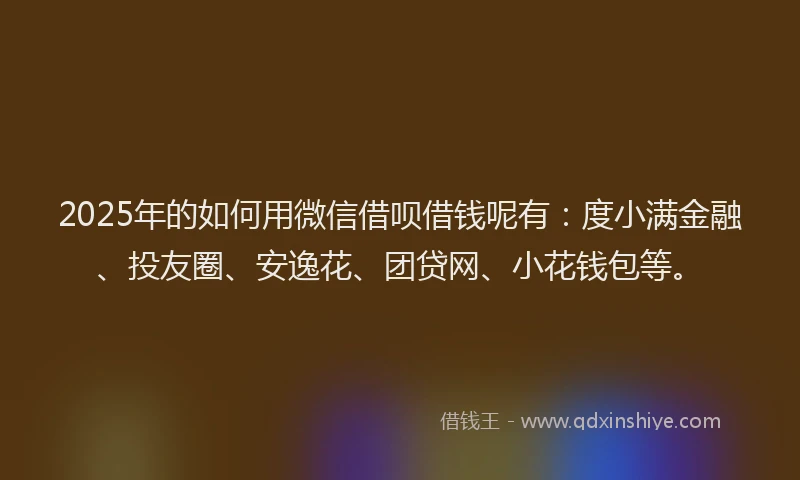 2025年的如何用微信借呗借钱呢有：度小满金融、投友圈、安逸花、团贷网、小花钱包等。
