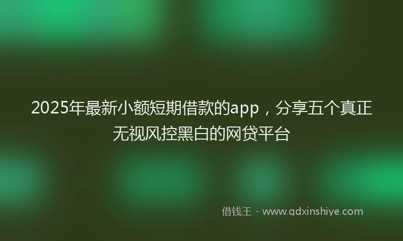 2025年最新小额短期借款的app，分享五个真正无视风控黑白的网贷平台