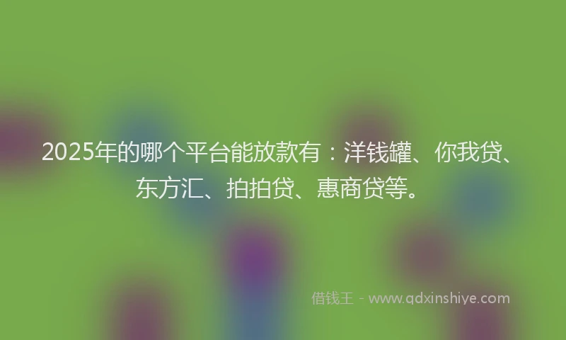 2025年的哪个平台能放款有：洋钱罐、你我贷、东方汇、拍拍贷、惠商贷等。