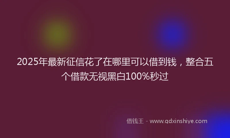 2025年最新征信花了在哪里可以借到钱，整合五个借款无视黑白100%秒过