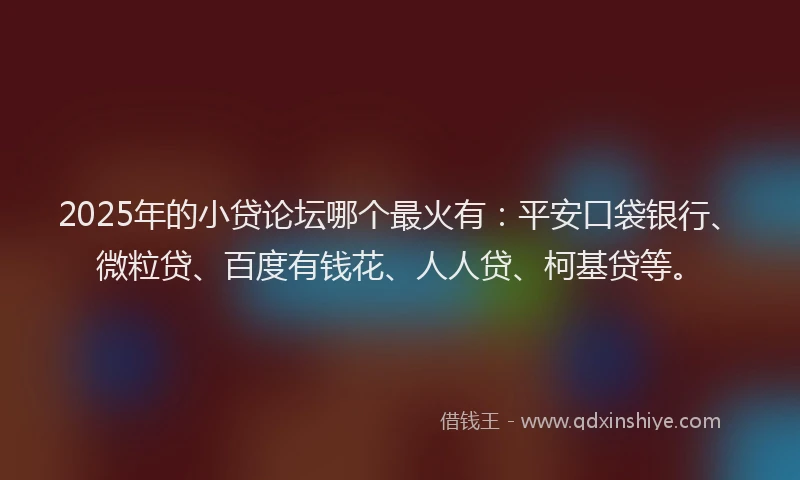 2025年的小贷论坛哪个最火有：平安口袋银行、微粒贷、百度有钱花、人人贷、柯基贷等。