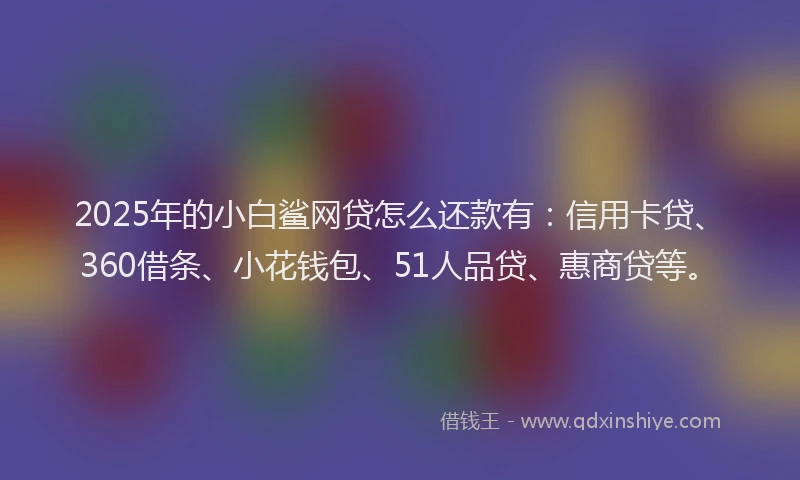 2025年的小白鲨网贷怎么还款有：信用卡贷、360借条、小花钱包、51人品贷、惠商贷等。