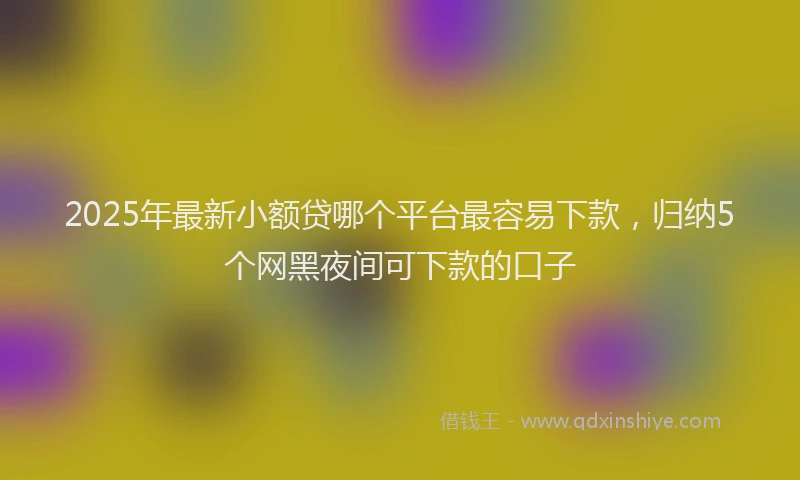 2025年最新小额贷哪个平台最容易下款，归纳5个网黑夜间可下款的口子