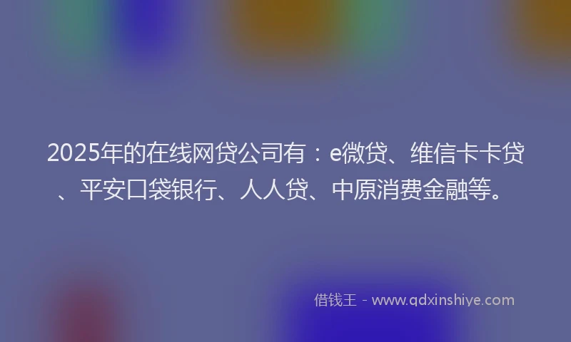 2025年的在线网贷公司有：e微贷、维信卡卡贷、平安口袋银行、人人贷、中原消费金融等。