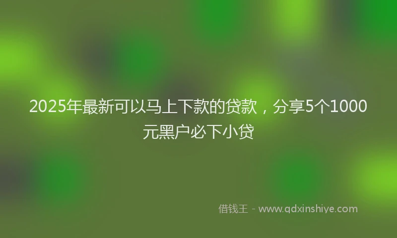 2025年最新可以马上下款的贷款，分享5个1000元黑户必下小贷