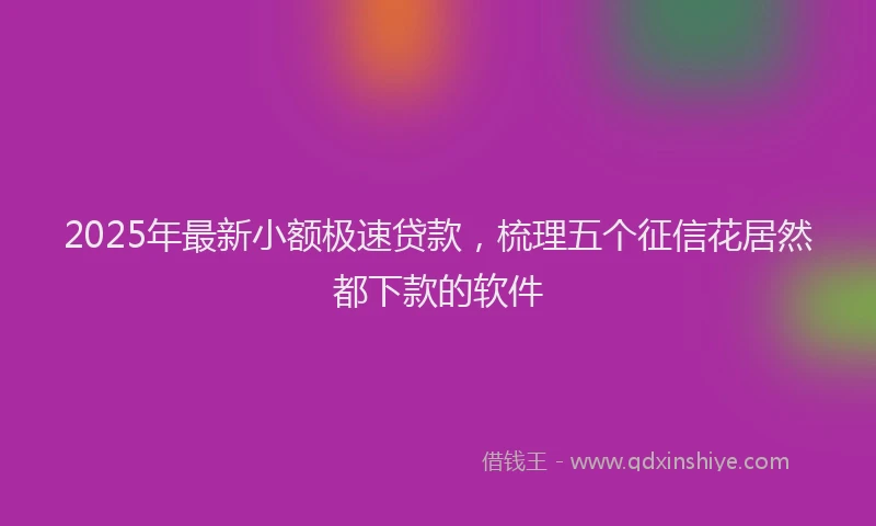 2025年最新小额极速贷款，梳理五个征信花居然都下款的软件