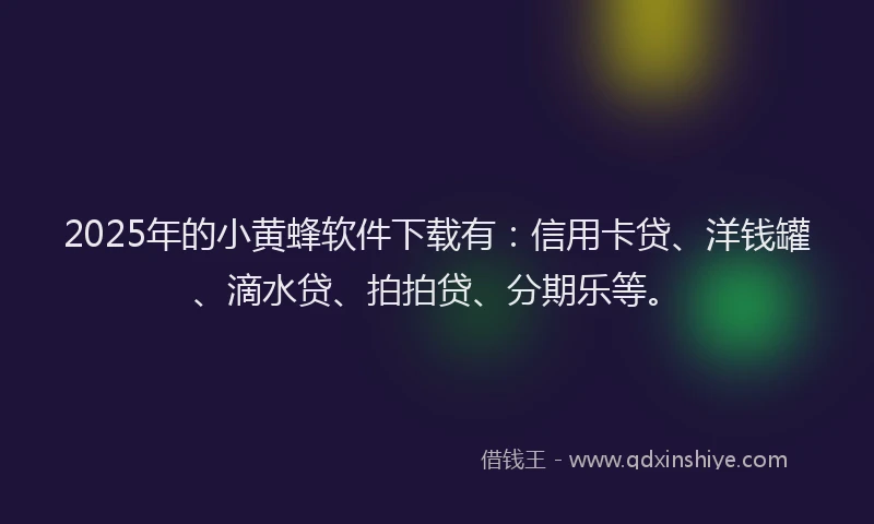 2025年的小黄蜂软件下载有：信用卡贷、洋钱罐、滴水贷、拍拍贷、分期乐等。