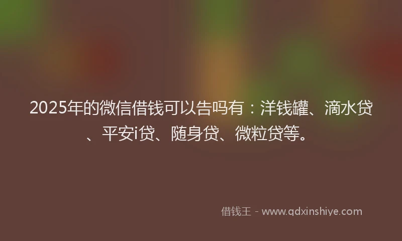 2025年的微信借钱可以告吗有：洋钱罐、滴水贷、平安i贷、随身贷、微粒贷等。