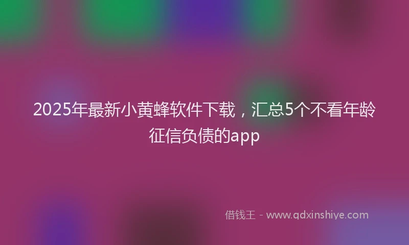 2025年最新小黄蜂软件下载，汇总5个不看年龄征信负债的app