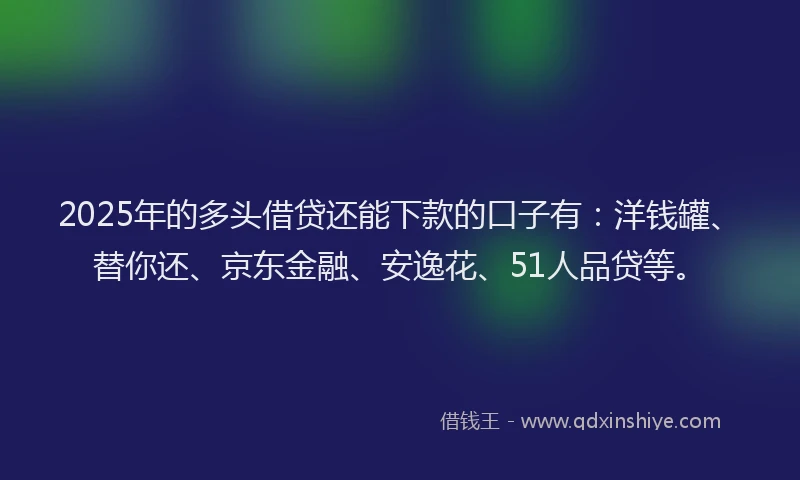 2025年的多头借贷还能下款的口子有：洋钱罐、替你还、京东金融、安逸花、51人品贷等。