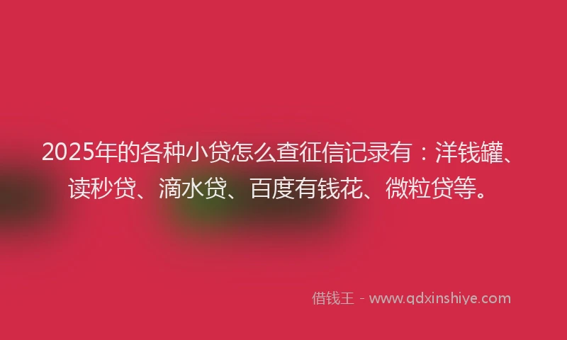 2025年的各种小贷怎么查征信记录有：洋钱罐、读秒贷、滴水贷、百度有钱花、微粒贷等。