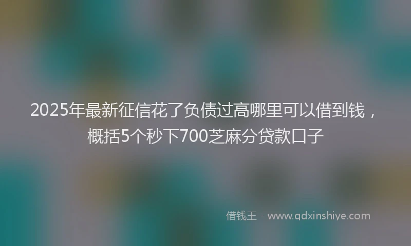 2025年最新征信花了负债过高哪里可以借到钱，概括5个秒下700芝麻分贷款口子