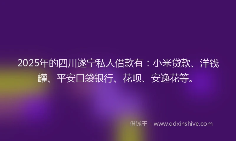 2025年的四川遂宁私人借款有：小米贷款、洋钱罐、平安口袋银行、花呗、安逸花等。