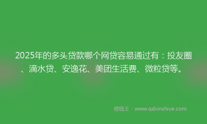 2025年的多头贷款哪个网贷容易通过有：投友圈、滴水贷、安逸花、美团生活费、微粒贷等。