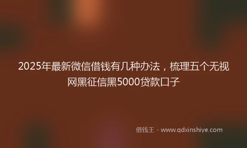 2025年最新微信借钱有几种办法，梳理五个无视网黑征信黑5000贷款口子