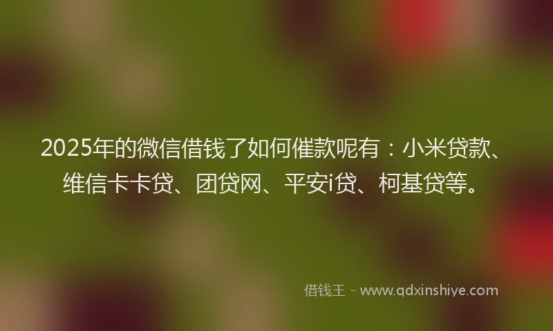 2025年的微信借钱了如何催款呢有：小米贷款、维信卡卡贷、团贷网、平安i贷、柯基贷等。