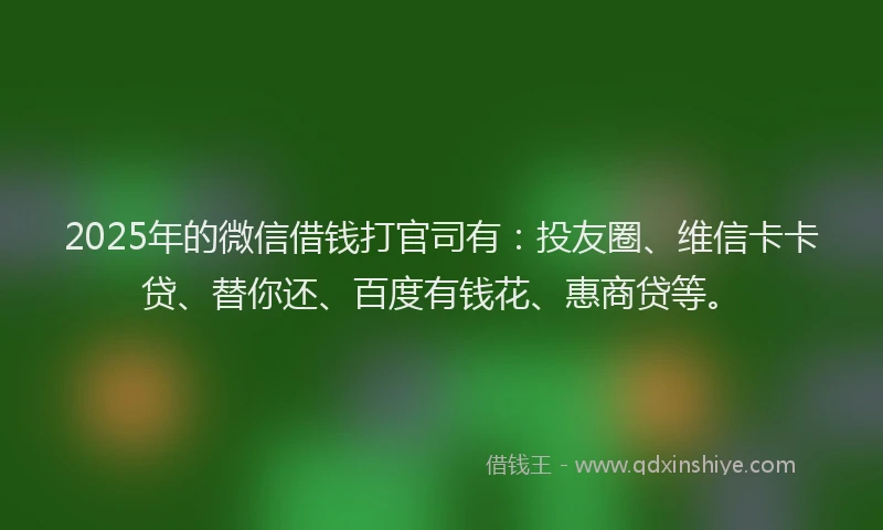 2025年的微信借钱打官司有：投友圈、维信卡卡贷、替你还、百度有钱花、惠商贷等。
