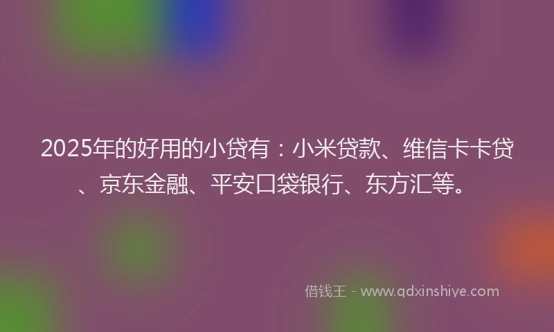 2025年的好用的小贷有：小米贷款、维信卡卡贷、京东金融、平安口袋银行、东方汇等。