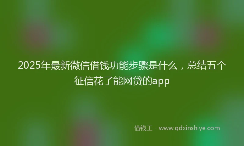 2025年最新微信借钱功能步骤是什么，总结五个征信花了能网贷的app