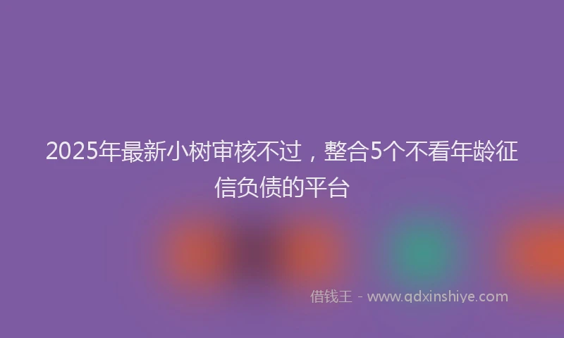 2025年最新小树审核不过，整合5个不看年龄征信负债的平台
