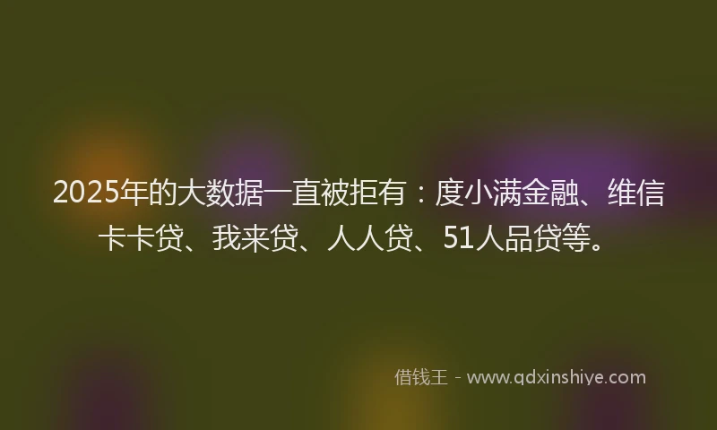 2025年的大数据一直被拒有：度小满金融、维信卡卡贷、我来贷、人人贷、51人品贷等。