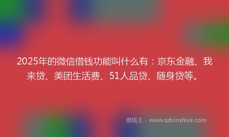 2025年的微信借钱功能叫什么有：京东金融、我来贷、美团生活费、51人品贷、随身贷等。